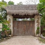Unique Jungle Dome Ik
