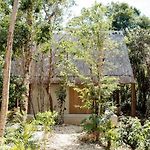 Casa Xul