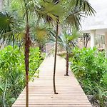 Kaabin Jungle Living C5