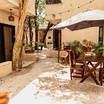 Ama Y Prana
