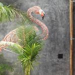 White Elephant Casa Boutique Tulum