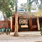 Mimosa Tulum