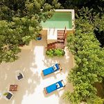 Casa Hibiscus Sky-High Pool With Birds Above The Jungle