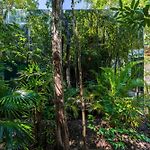 Chay Glass Jungle House