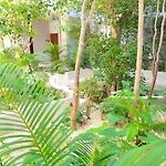 Renta Depa 1 Hab En La Veleta Tulum