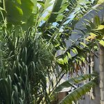 Orula Experiences
