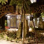 Bufo Alvarius