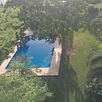 Antal Tulum