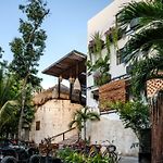 Mayan Monkey Tulum - Social Hostel (Adults Only)