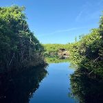 Cabañas Tulum - Aldea Mangle&Cenote