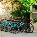 Teva Tulum, Aldea Zamá