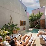 Seremonia Modern Villa With Private Pool Jacuzzi