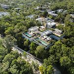 The Tulum Grand Compound