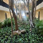 Tulum Retreat, Natural Magic And Tranquility