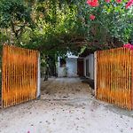 Private Jungle Villa With Full Kitchen & Pool Access