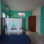 Casa Nido