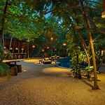 Tree House Tulum - Beach Access - Villa
