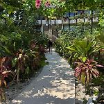 Alof Studio In The Jungle