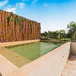 Jungle Penthouse W Sunset Rooftop Private Pool