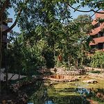 Bt Homes - Tulum, Moderno Cerca Del Mar Con Piscina Y Balcon