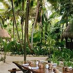 Olas Tulum