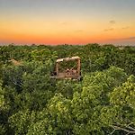 Treehouse Tulum H2Ojos