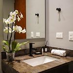 Paramar Noir Swim-Up Suite Aldea Zama
