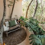 Taio Tulum