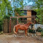 Treehouse Tulum H2Ojos