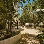 Casa Tira - Your Luxury Jungle Mansion In Tulum
