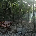 Barefoot Jungle Studios