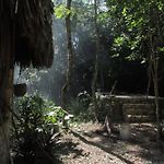 Barefoot Jungle Studios