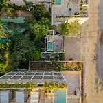 Soko Tulum