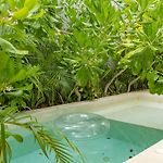 Villa Pools Privadas Rooftop Selva Tulum