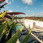 Vida Tulum Jungle Apartment Incl Rooftop Pool