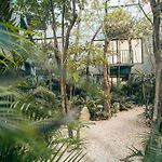 Vida Tulum Jungle Apartment Incl Rooftop Pool