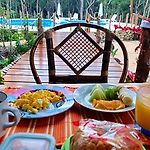 Energy Tulum Holistic Ranch