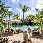 Aflora Tulum Wellness & Luxury Escape