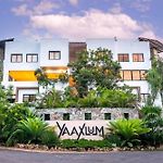 Oasis Yaaxlum