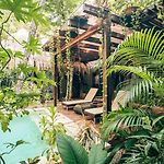 Orchid House Tulum Jungle