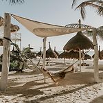 Coco Unlimited