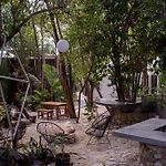 Botanica Tulum