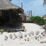 Parayso Beach Hotel
