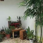 Casa Neptuno