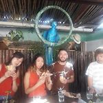 Albatros Hostal Tulum