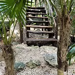 Roc Jungle Tulum