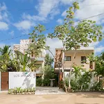 Amigos Tulum