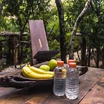 Roc Jungle Hotel