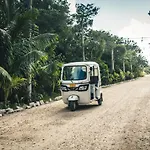 Roc Jungle 4*