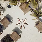 Nest 4*
